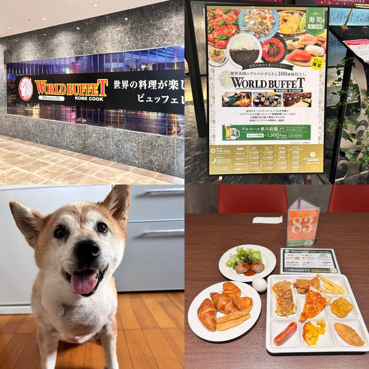 Cde89097 6763 412d 84ab bc30c0639dd6 1756029231373