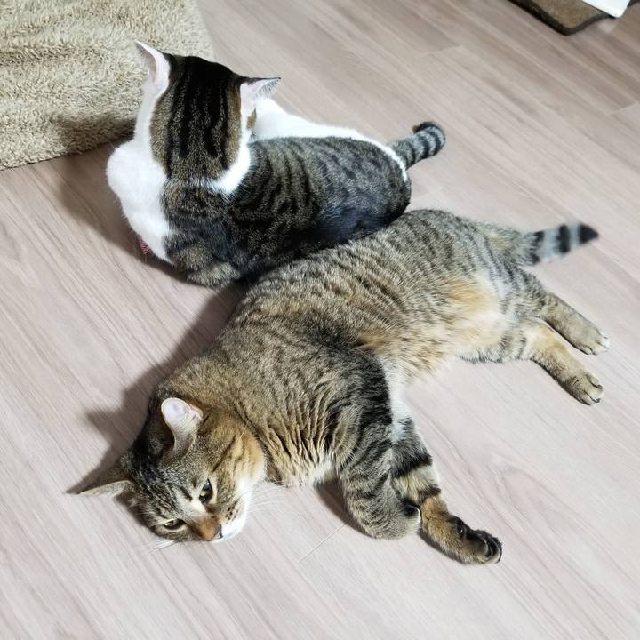 Cde9113c c2fd 4e5d 9aed be80bc261d82 1607605005371