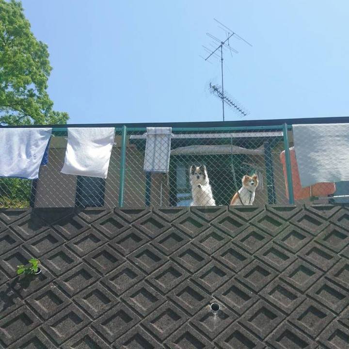 Cde91fc9 e2f0 4d60 82b6 3b8e71b6623f 1651661159536