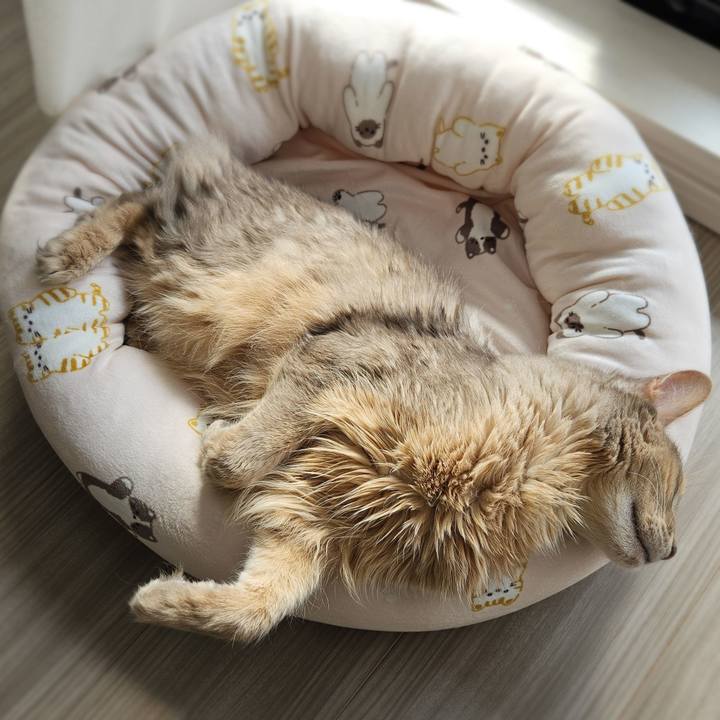 Cde95d8b 8e5a 4072 be8c e4bd65aafc8a 1774664084897