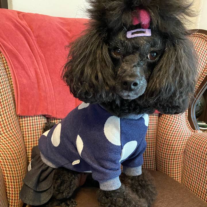 Cde99d8f de02 4e36 9229 326be28c18ac 1649219697230