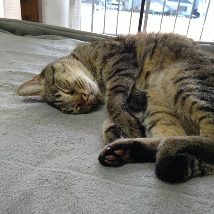 Cde9c3a9 6369 4530 8edf 754a6e82e7d5 1736061844701