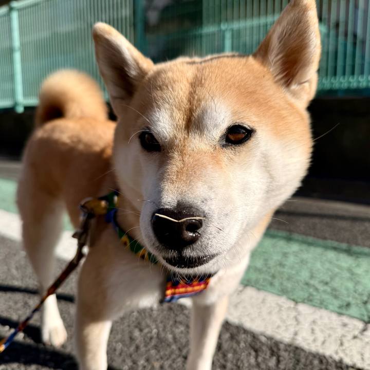 Cde9cb64 1d12 4dfb be10 a62e47be155d 1767490978355