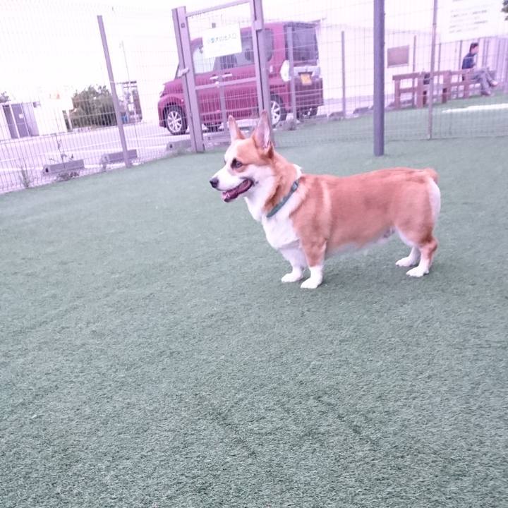 Cdea1a9e 7894 48cb 806e 0338edf3e9bd 1593063834741