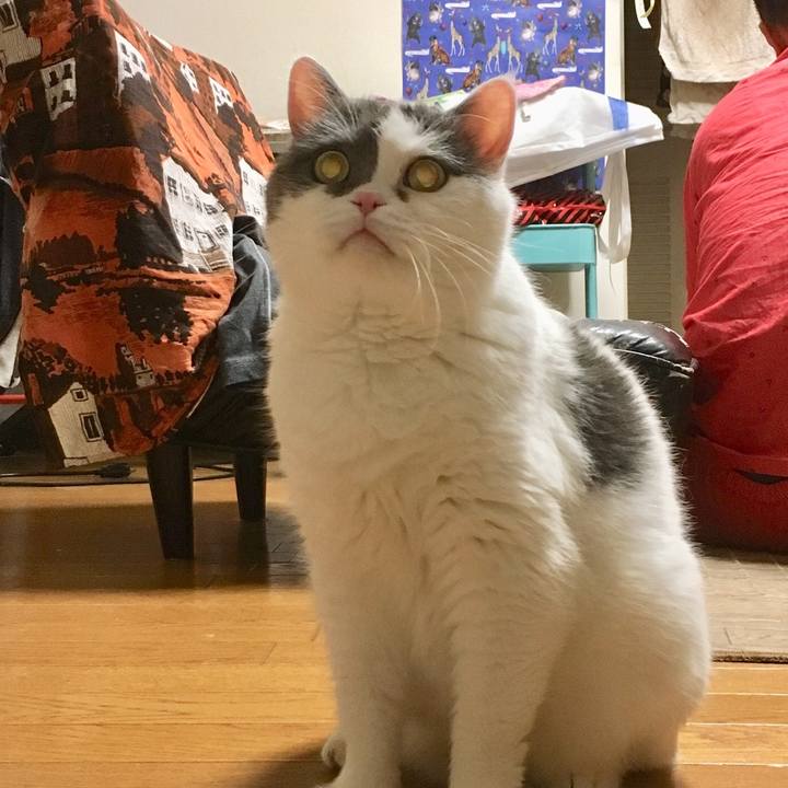 Cdea345f f456 4cd2 a0fd a12440b71495 1529499338862