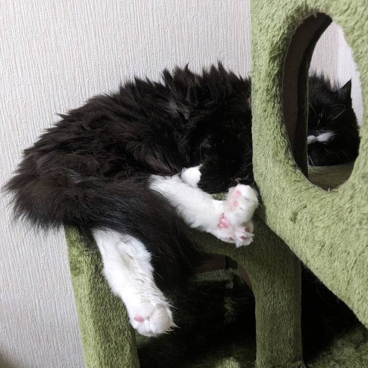 Cdea7e95 4462 41f5 87e8 58ced48ac105 1717029849230