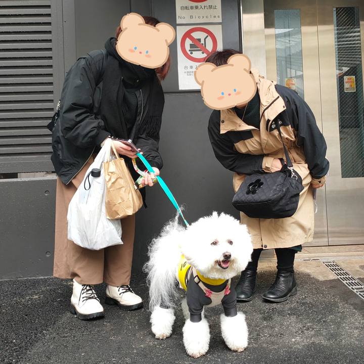 Cdeabb4b 1721 4620 a3d8 879d3e95bde0 1765841809414