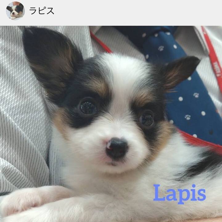 Cdead0f4 2e2a 43d5 855d 97e961395177 1593271829401