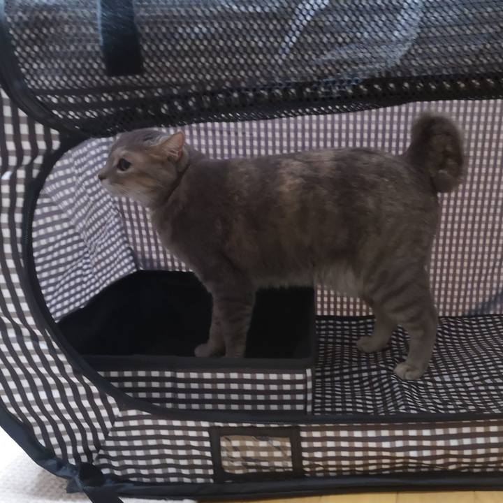 Cdeae093 39c1 4a4d aaa3 034b27b6a142 1572096171911