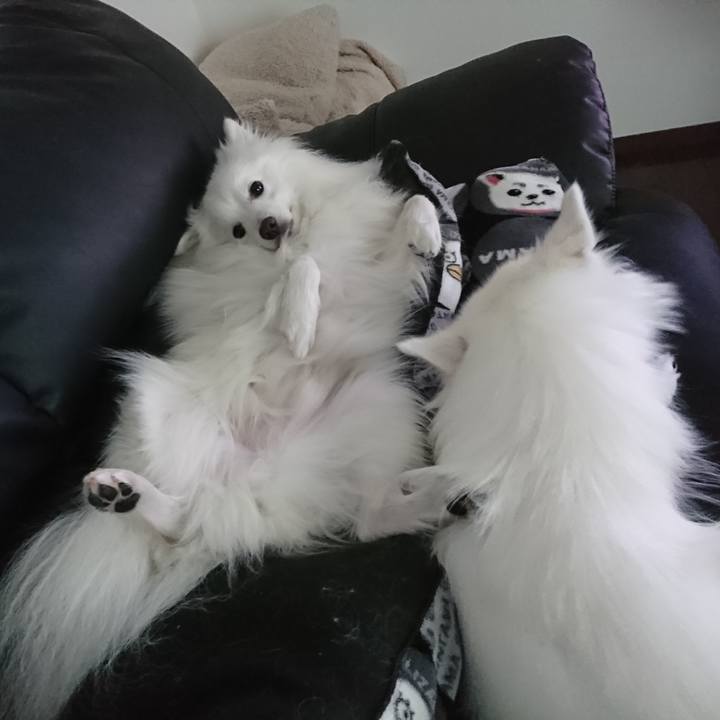 Cdeae631 42e2 48d0 bf6f 43c9715e0b09 1585552410545