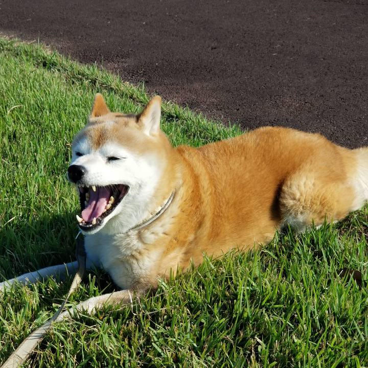 Cdeb08f8 a8cb 40f8 9ac3 2360a69ca075 1696228148313