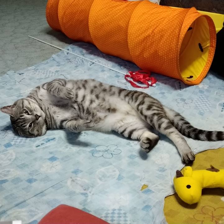 Cdeb0ff7 8b86 4301 8f66 4ad0e97eb7fa 1623663695837