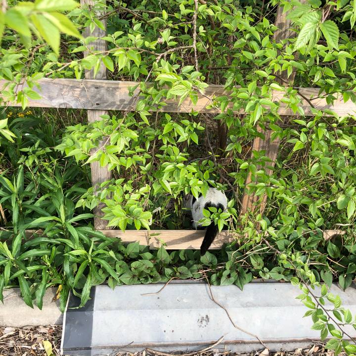 Cdeb1380 f5b5 418d 86a2 7f3b88d9d07e 1589717223978