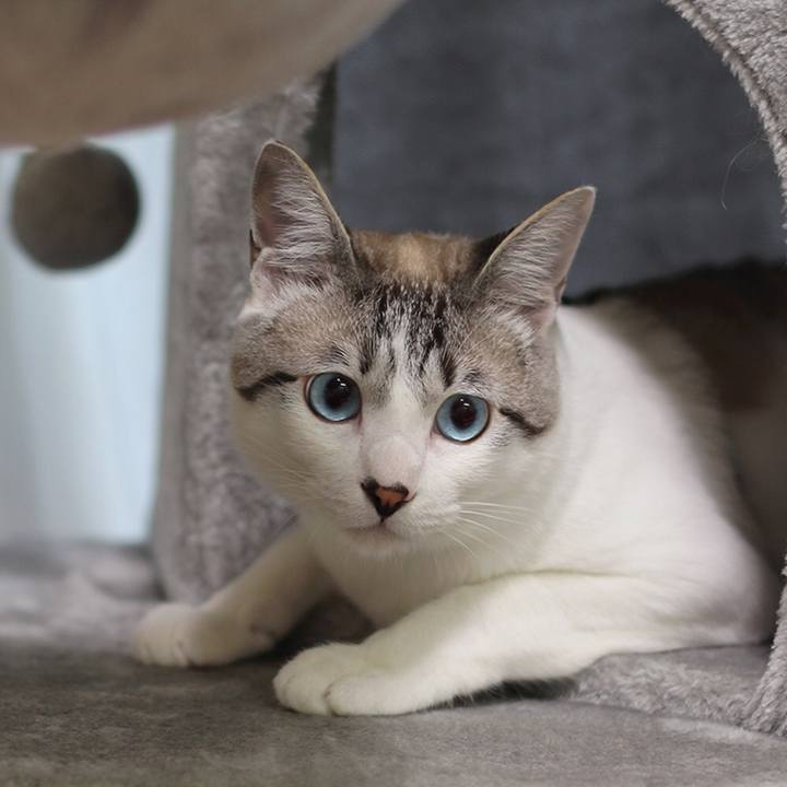 Cdeb46a5 0834 475c 84ce 4776465a4ddb 1642116565687