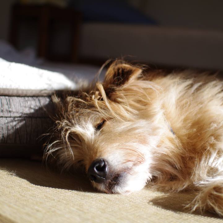 Cdeb88d5 1d90 4b4a 91c4 a6a61c2bc381 1584485284874