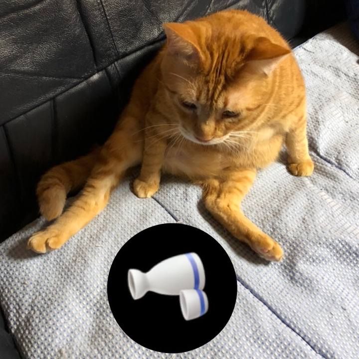 Cdebc41f 2338 479e b492 e5cd7a6c3b00 1565251545425