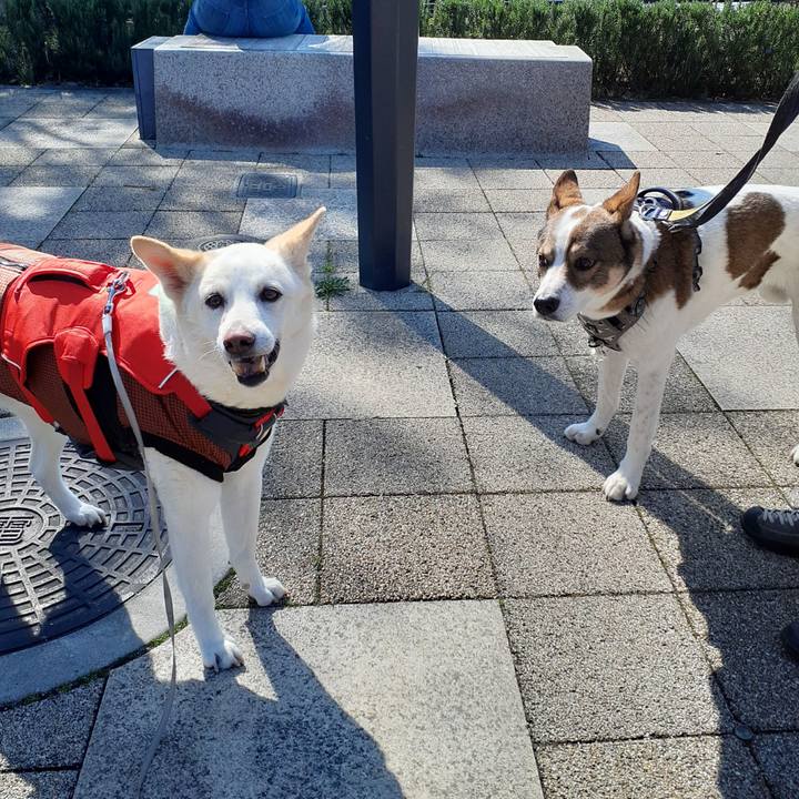 Cdec1eed da71 4f0b 81fc 8c4ca942c703 1774084735220