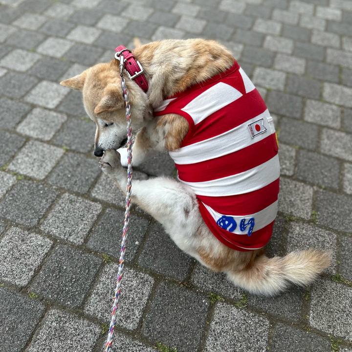 Cdec2f18 c537 499e b490 dc57f3719882 1747980107362