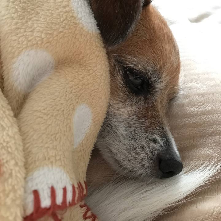 Cdec3fbb 0dfc 440d a2da b83ee4ef25d9 1585825221392