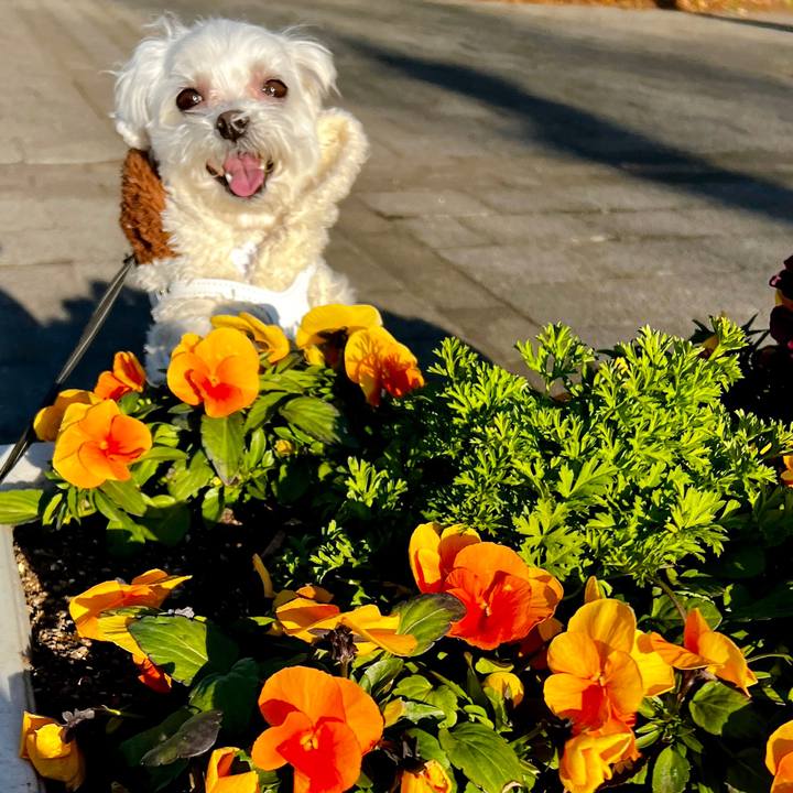 Cdec4252 867e 463f bfb2 b1ee8ba4a18c 1677400706916