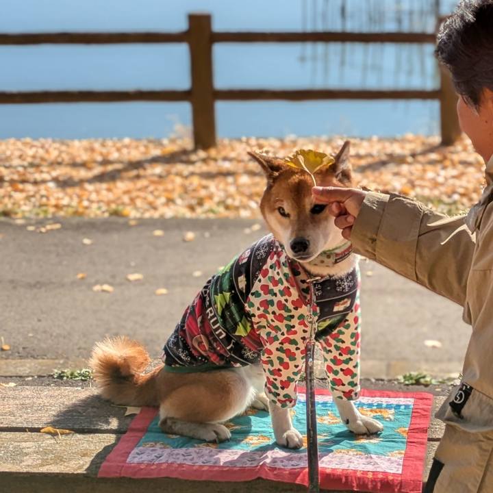 Cdec6b20 1367 4d14 b8d4 d83a32e57838 1733922584942