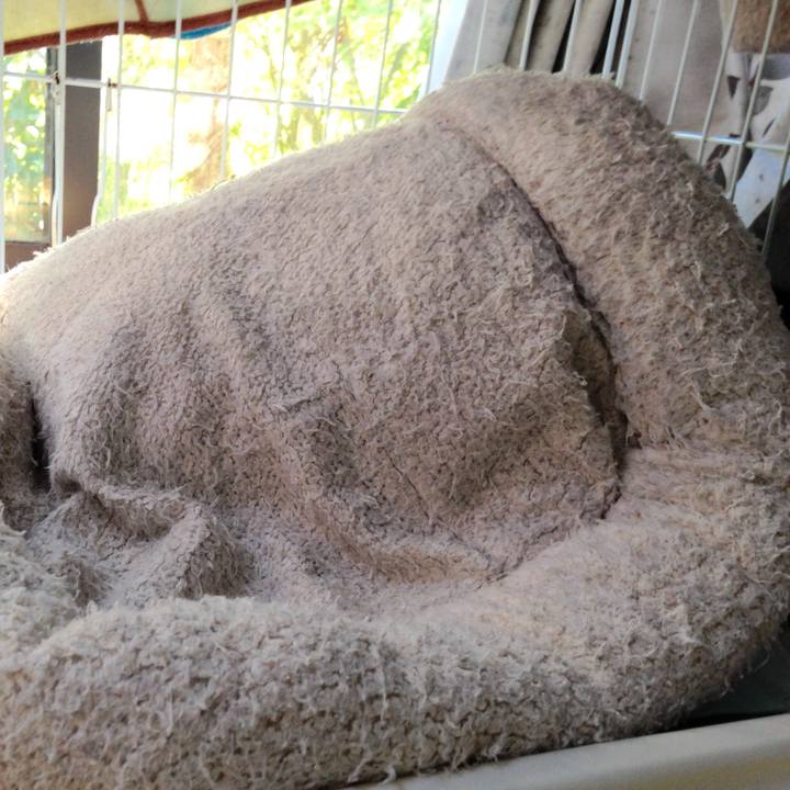 Cdec7f1c 2fb8 4305 a524 b97092c37ea5 1730846255809