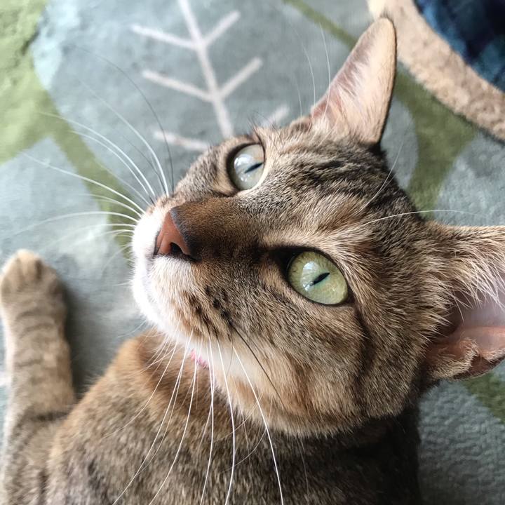 Cdec949a f8d2 4336 976d 1773ae5b548c 1584923888062