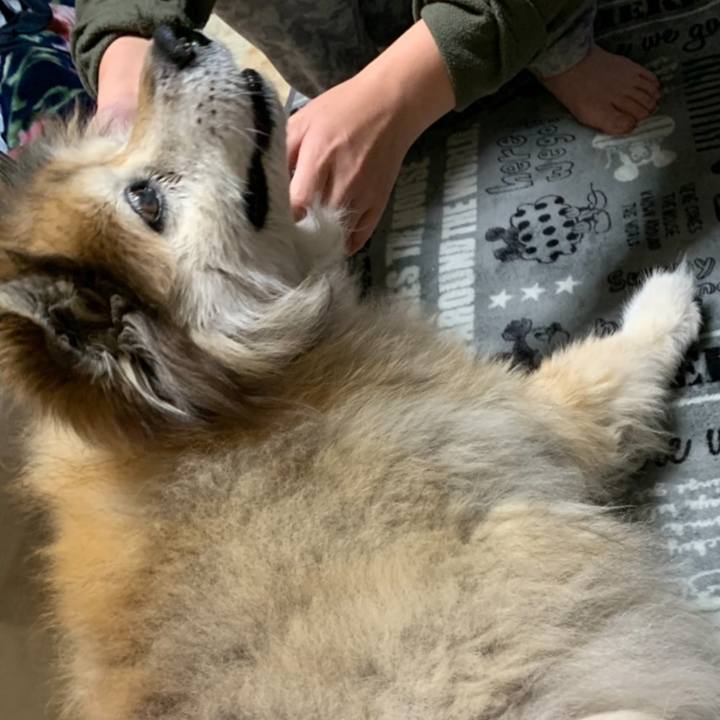 Cdeca0c5 c06e 4bf4 a694 ac2ab4eb6902 1661208716856