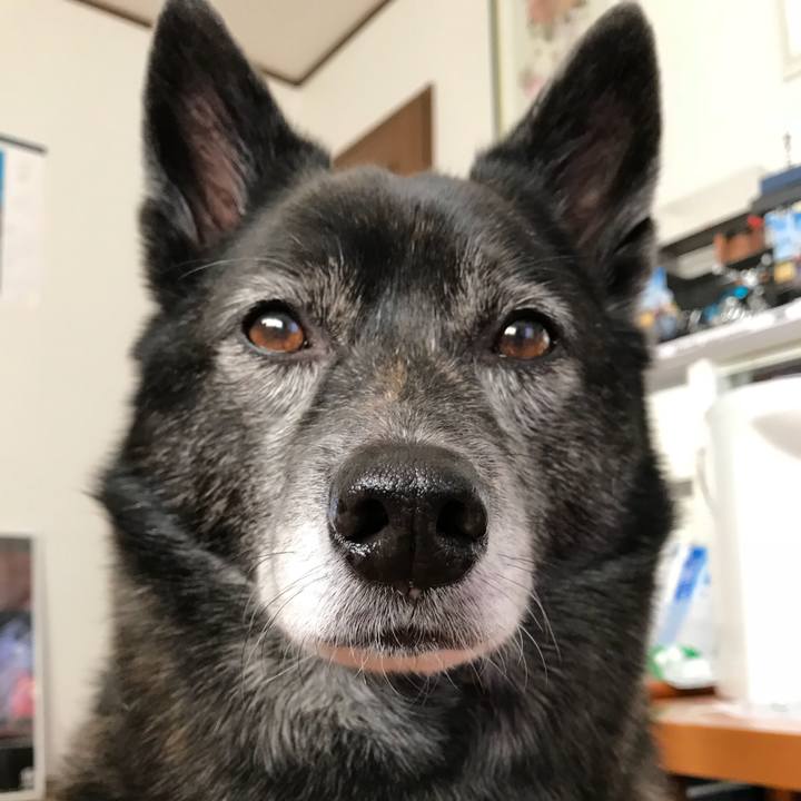 Cded15bc e69e 47c9 a4a6 9c1084476e34 1512613680117