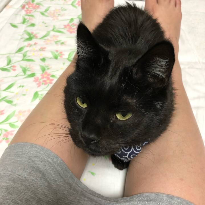 Cded2110 cb0e 43ed aa3f 3ca4ae432520 1579123009009