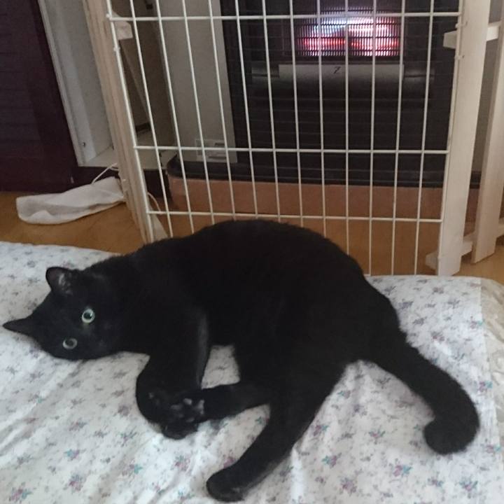 Cded3a0f 10e6 42db b6d3 6b7dc3ebeea6 1535461792464