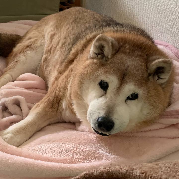 Cded85d9 407d 4b23 85d4 f866a6c27eae 1648945458267