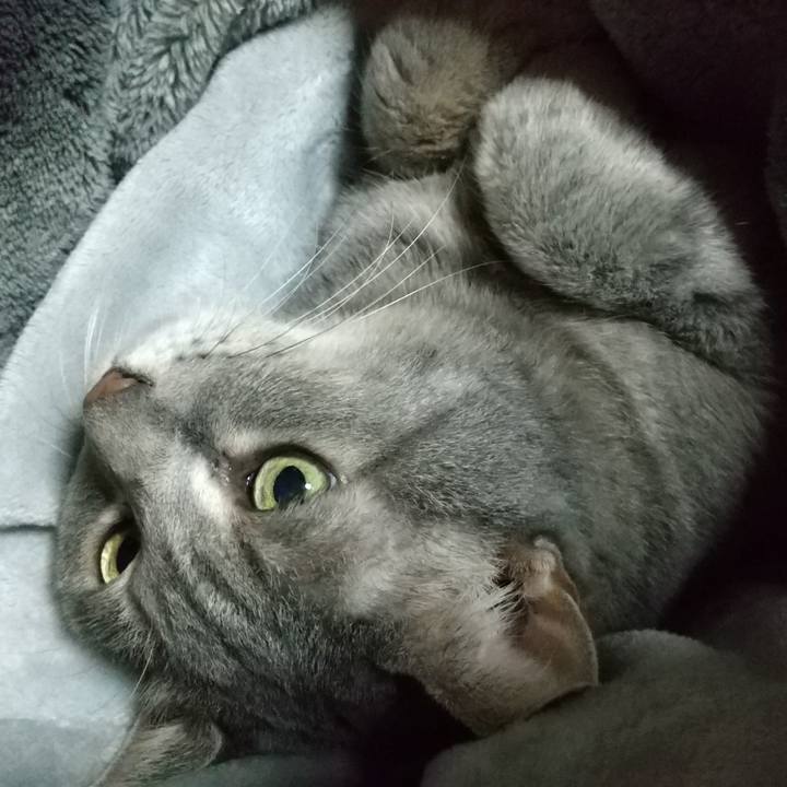 Cded926a 5577 451e bcdc 51e1a9d43860 1603116577177