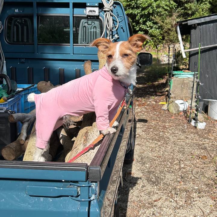 Cded9e9d 30c8 4e9a b98d 0eb0c60c1c9d 1762258914834