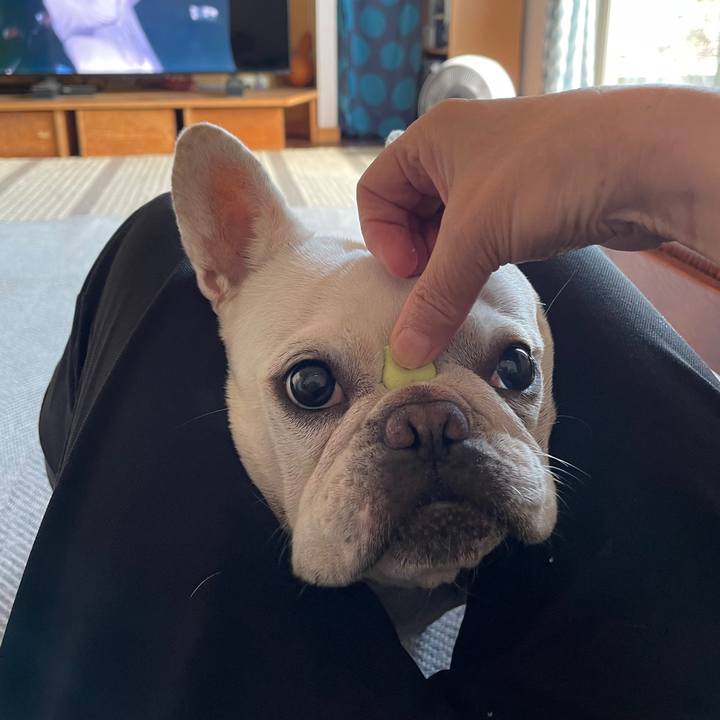 Cdedc22c c995 4668 b45b 6d9652aea2ec 1726786155087