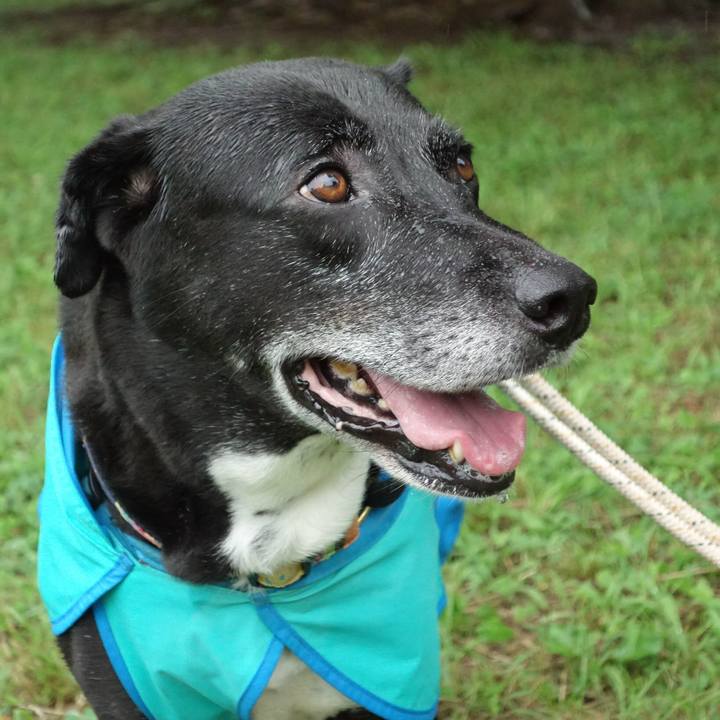 Cdedc5f6 e081 4059 b3d6 3d6f894449f2 1719102515250