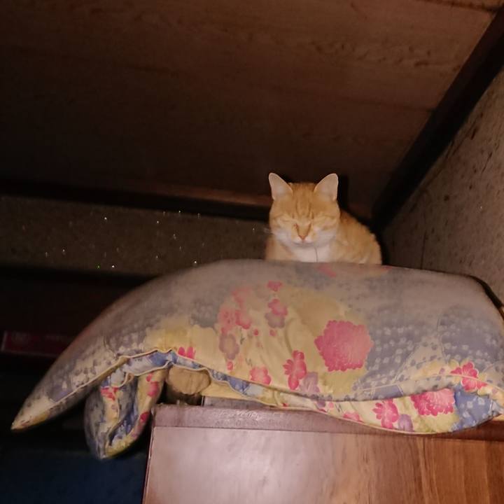 Cdedf859 24ef 45db ab9e 8050c3c56afc 1591040301187