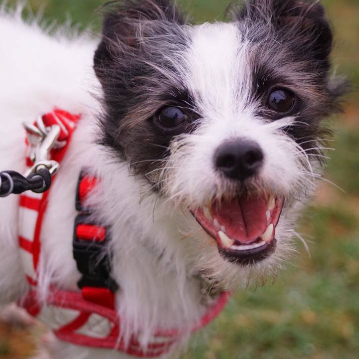 Cdee072a fdee 41f2 9d3c 13f45885bc75 1534850779690