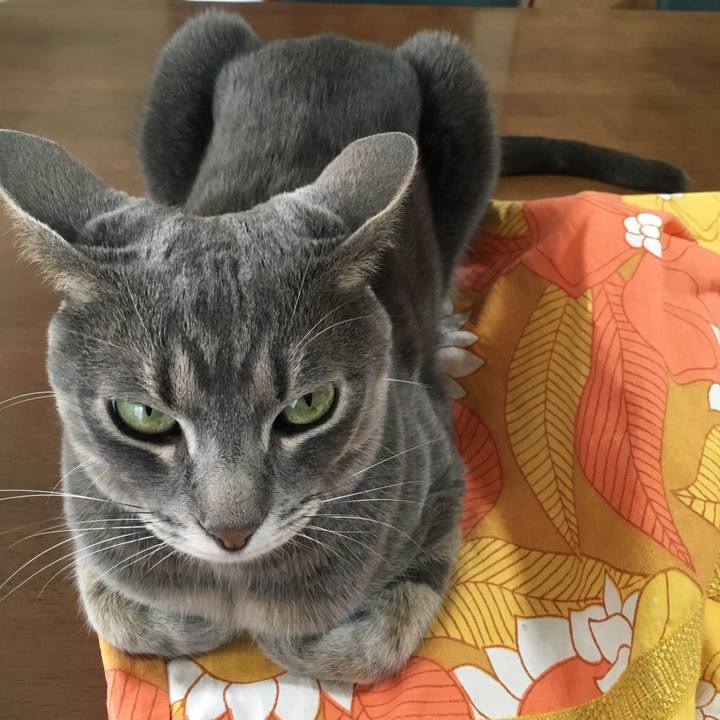 Cdee18f5 a658 4020 86ff f45bb8826adf 1523179593647