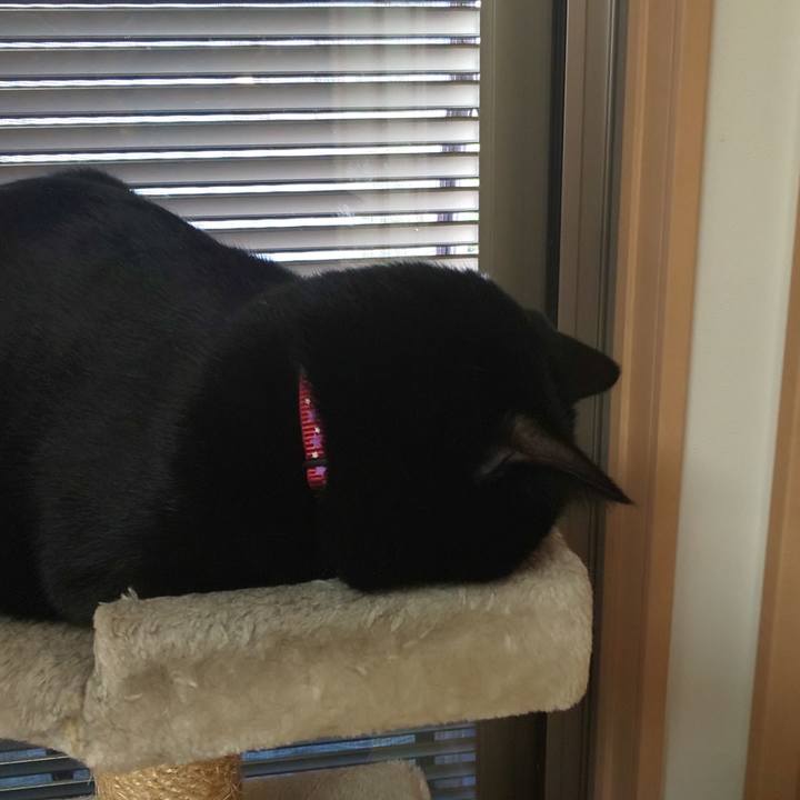 Cdee5caa 97a5 42c7 af4c dfebe893d6e6 1564822445706