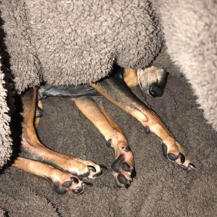 Cdee680d 05bb 483a a520 696e0620a4cf 1512310435522