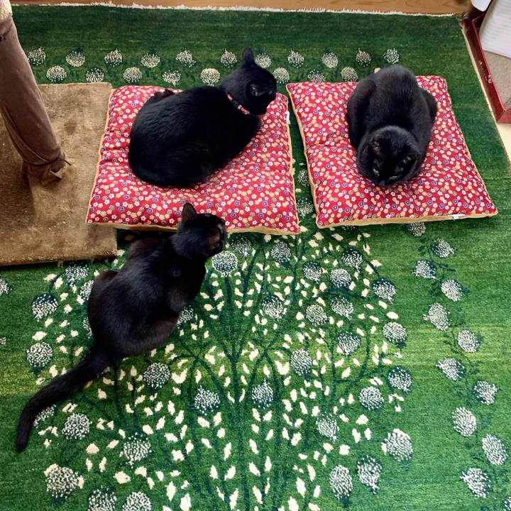 Cdee72b7 09c6 4ae5 b9f5 05c1e024884b 1650859757557