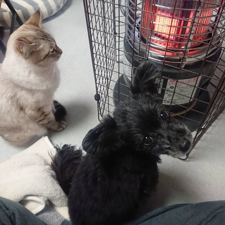 Cdee9ee5 b339 48bd b6b7 ffdcba357524 1608104255998