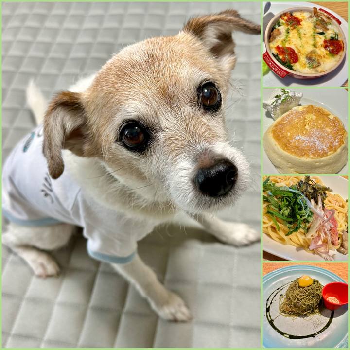 Cdeeb121 a8e0 4d10 b6b1 8a02df899d34 1714796112303