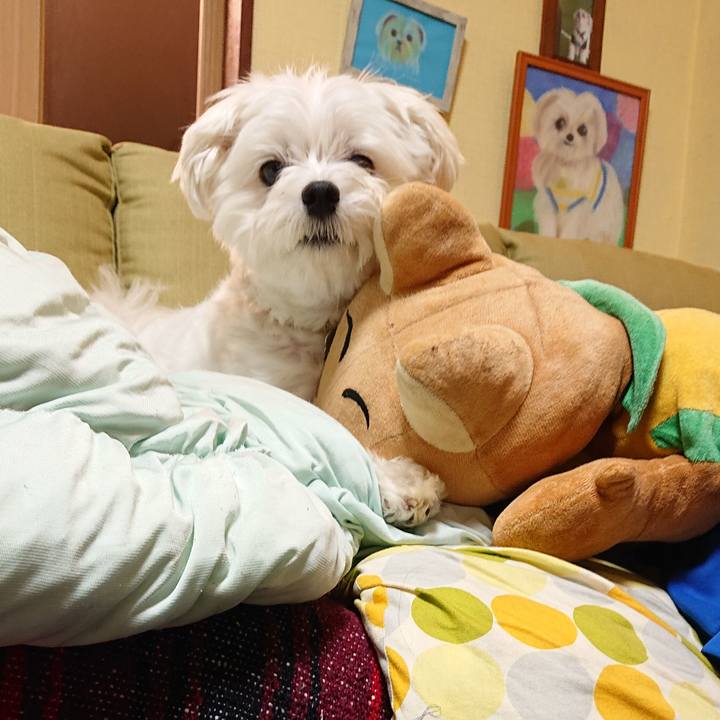 Cdef277a 2fed 49eb b699 05a6665a940c 1537447227116