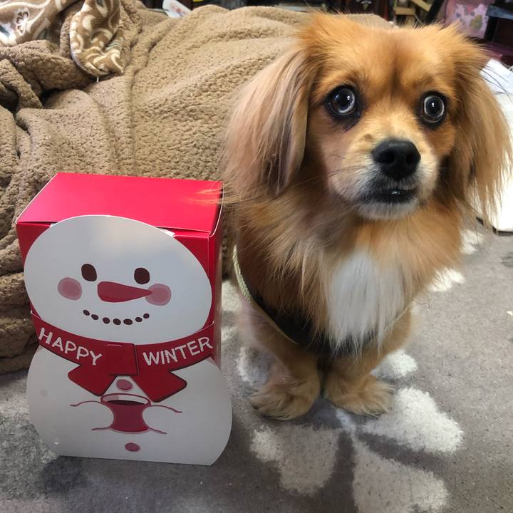 Cdef8617 f8aa 4327 bbff 4d6eb8b7b7fb 1545521561124