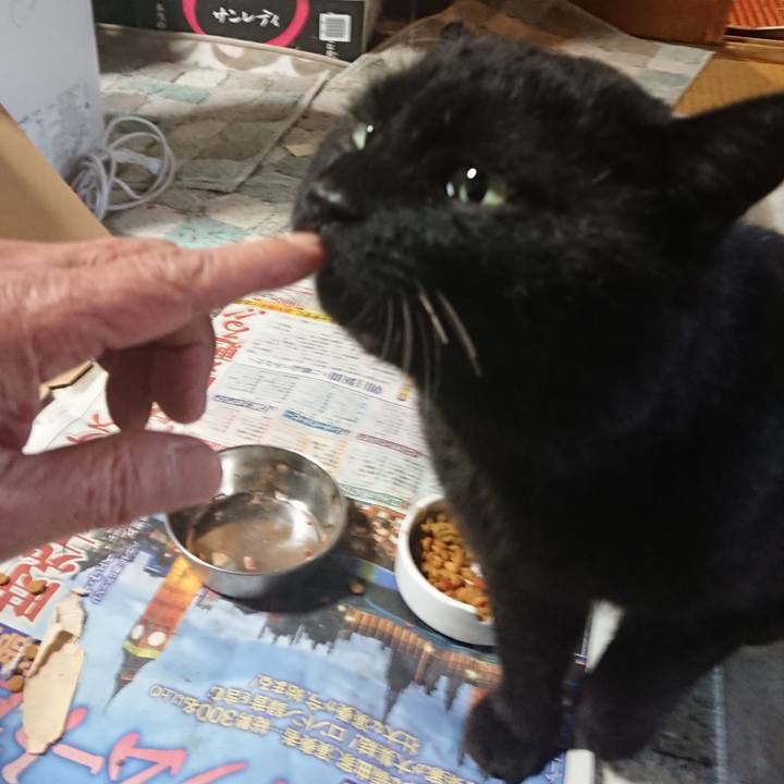 Cdef8a6d 43c2 43e3 b7f0 84cba0c91265 1649925009297