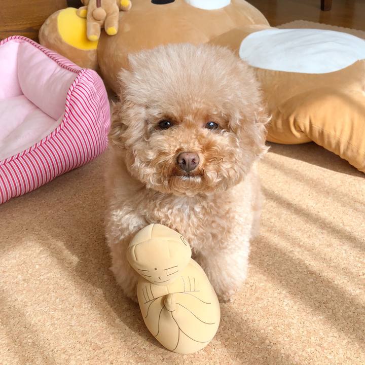 Cdef8dd5 5fe8 4e82 8fa2 ea5db01b84f6 1509859147043