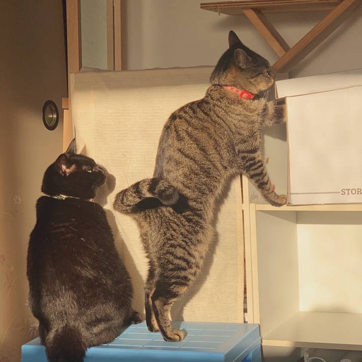 Cdefd99f 9424 442d bbbb 22ffd21ede2a 1579911146594