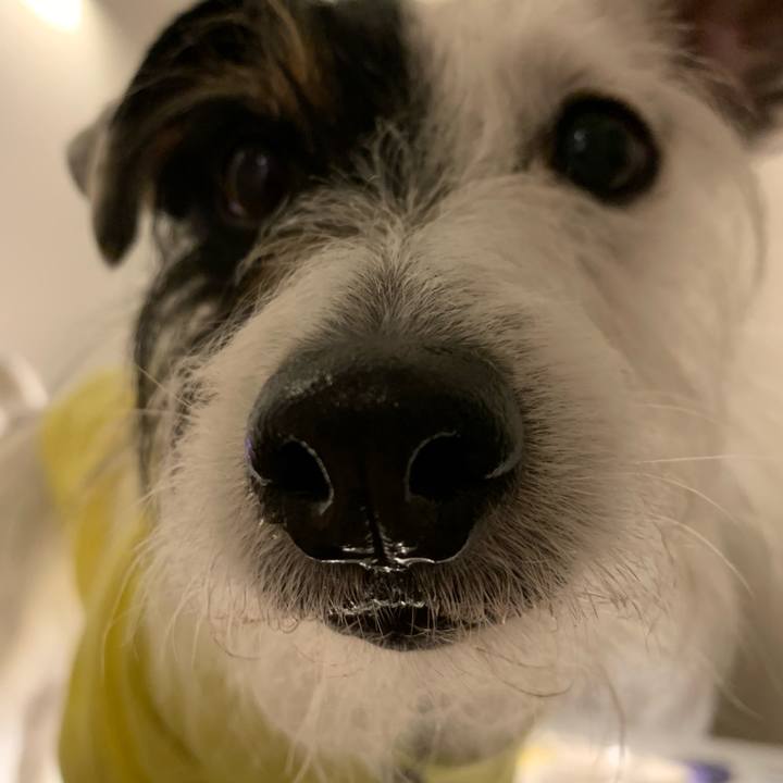 Cdf00044 689d 4860 915a 7499a6419e42 1647431964566